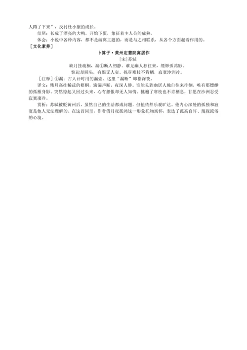 16 孤独之旅【统编九上语文最新教案含说课】