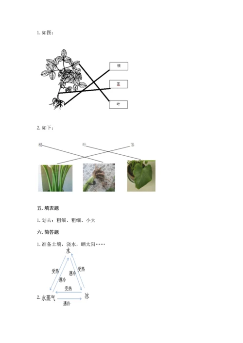 教科版科学一年级上册第一单元《植物》测试卷【必刷】.docx