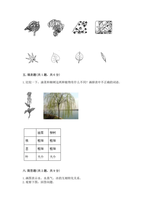 教科版科学一年级上册第一单元《植物》测试卷精品（预热题）.docx