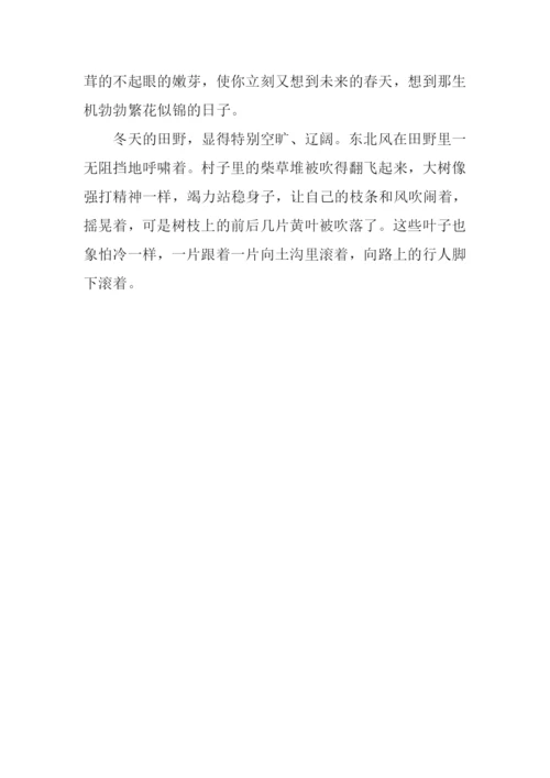 风景作文200字0.docx