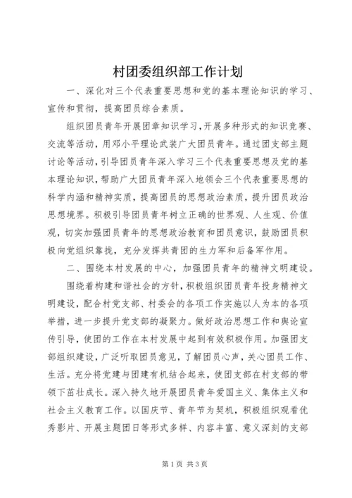 村团委组织部工作计划.docx