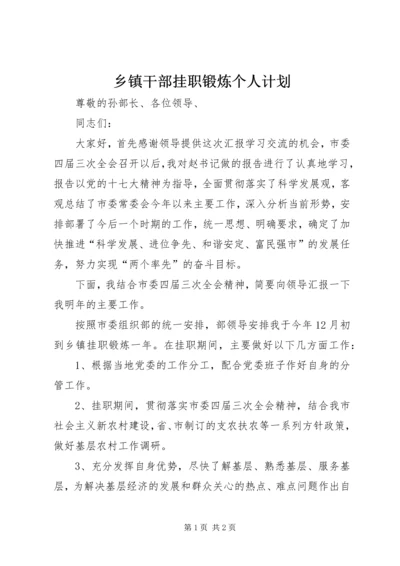 乡镇干部挂职锻炼个人计划.docx