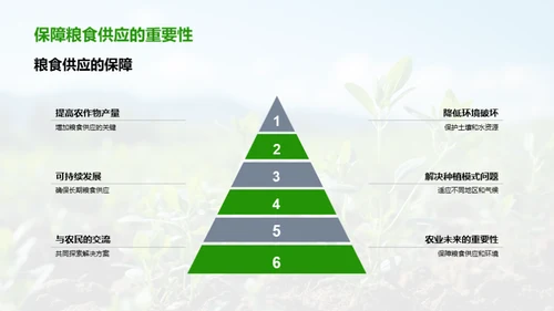 创新农业模式