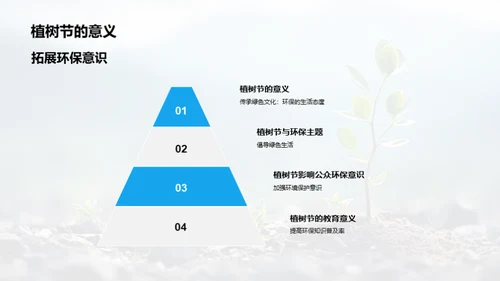 植树节深度报道研究