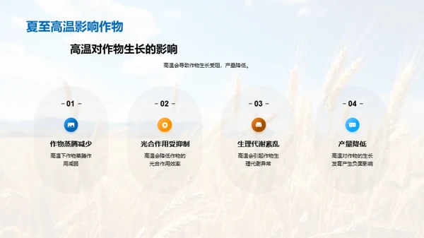 夏至气象与农业融合