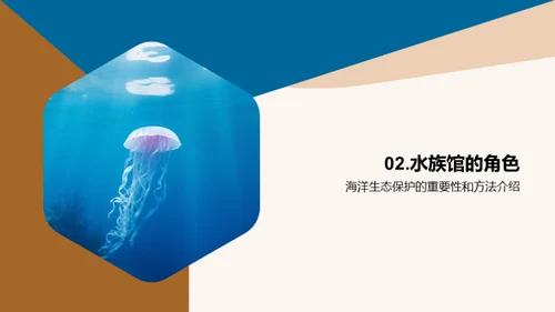 海洋守卫者：水族馆的使命