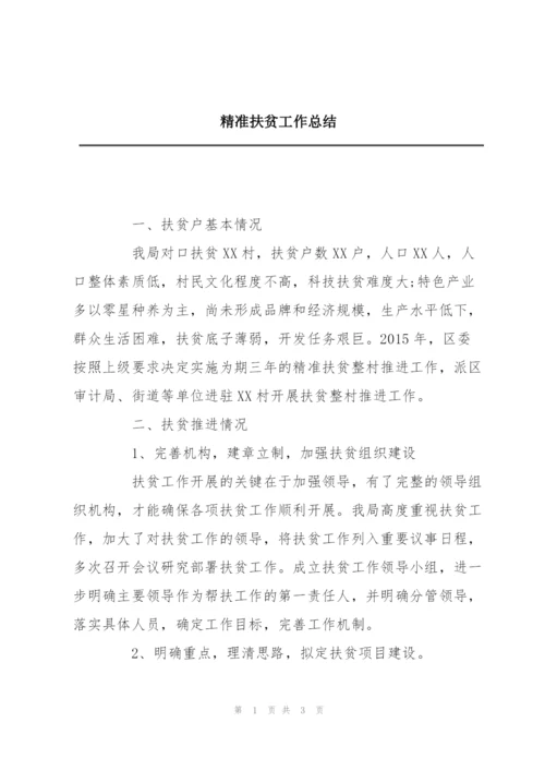 精准扶贫工作总结.docx