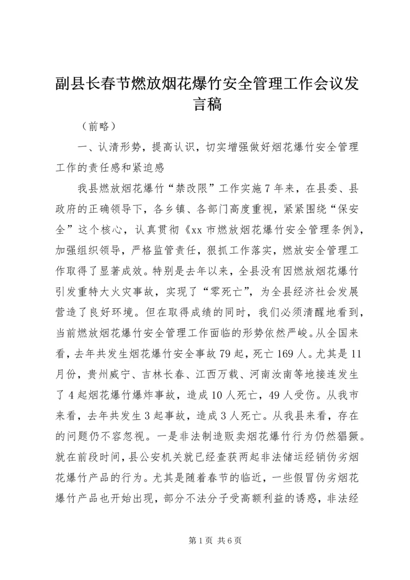 副县长春节燃放烟花爆竹安全管理工作会议发言稿.docx