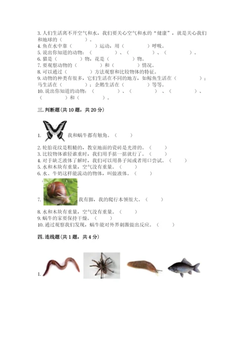教科版一年级下册科学期末测试卷精品（名校卷）.docx