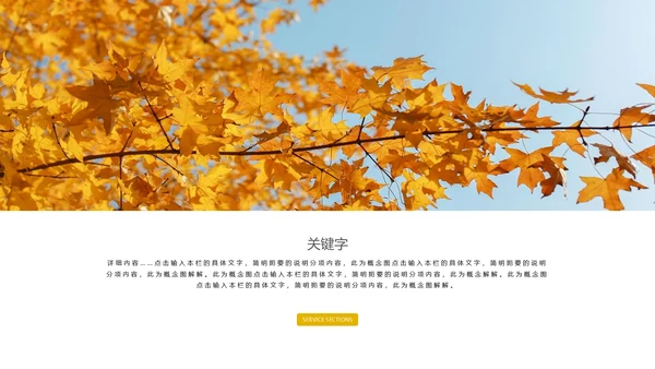 珍惜时间拒绝浪费通用PPT模板