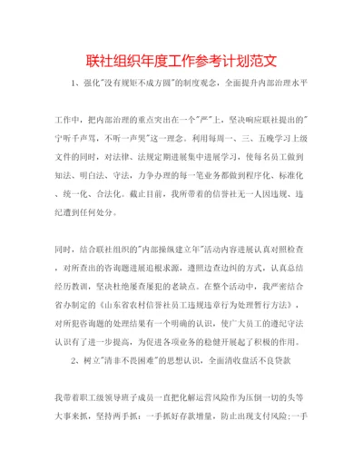 精编联社组织年度工作参考计划范文.docx