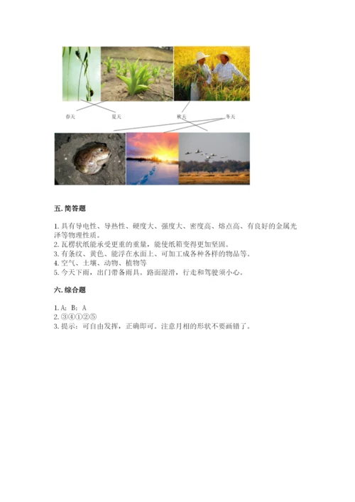 教科版二年级上册科学期末测试卷含完整答案（网校专用）.docx