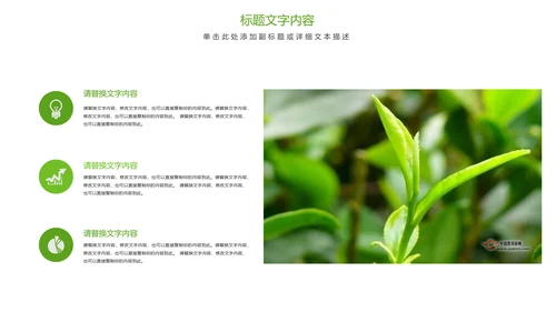 唯美清新绿色茶园茶艺茶文化品茶论道PPT模板