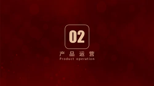 金色玫瑰融资路演商业计划书通用PPT模板