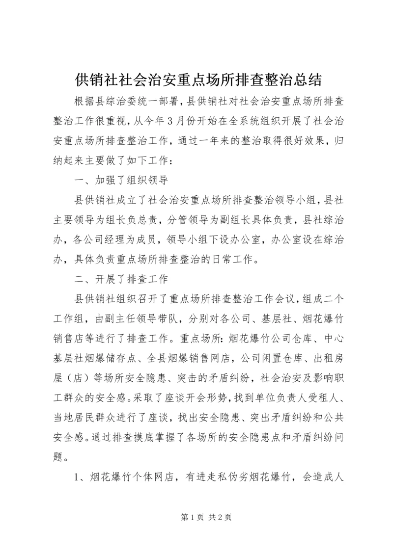 供销社社会治安重点场所排查整治总结.docx