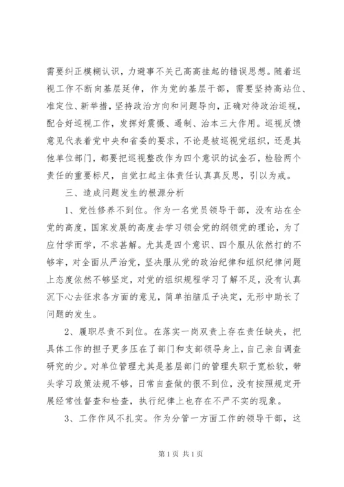 关于省委巡视整改专题民主生活会个人对照材料讲话稿.docx