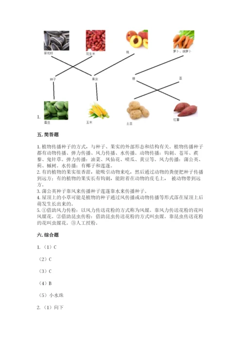 科学四年级下册第一单元植物的生长变化测试卷含答案【考试直接用】.docx