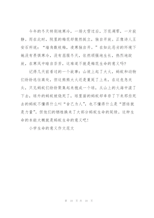 小学生命的意义作文范文7篇.docx