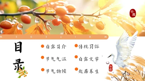 秋色白露节气，秋意浓通用PPT模板