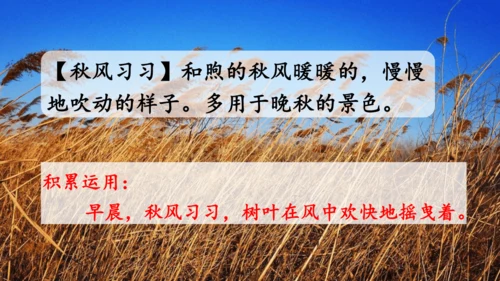 统编版语文三年级上册 第二单元 语文园地二   课件