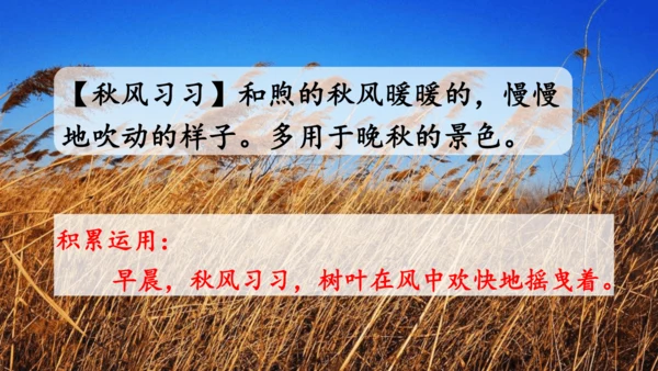 统编版语文三年级上册 第二单元 语文园地二   课件