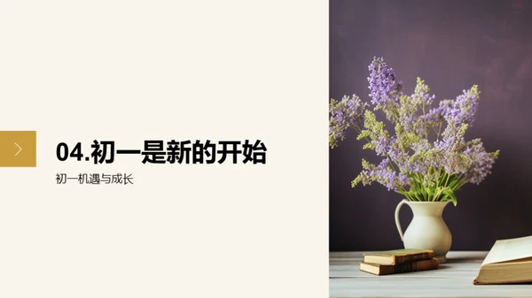 初一新篇章
