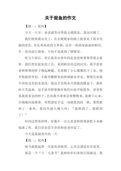 关于捉鱼的作文.docx