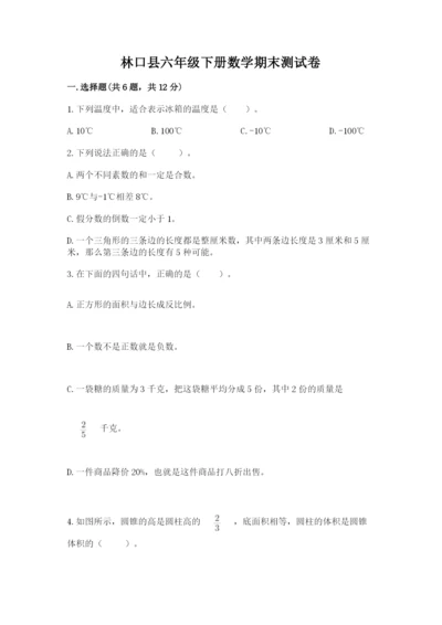 林口县六年级下册数学期末测试卷推荐.docx