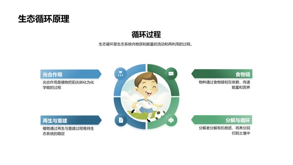 生态平衡教学PPT模板