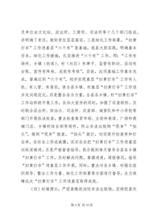 县扫黄打非工作汇报.docx