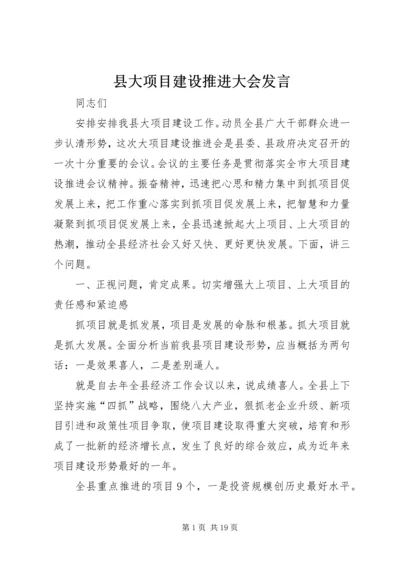 县大项目建设推进大会发言.docx