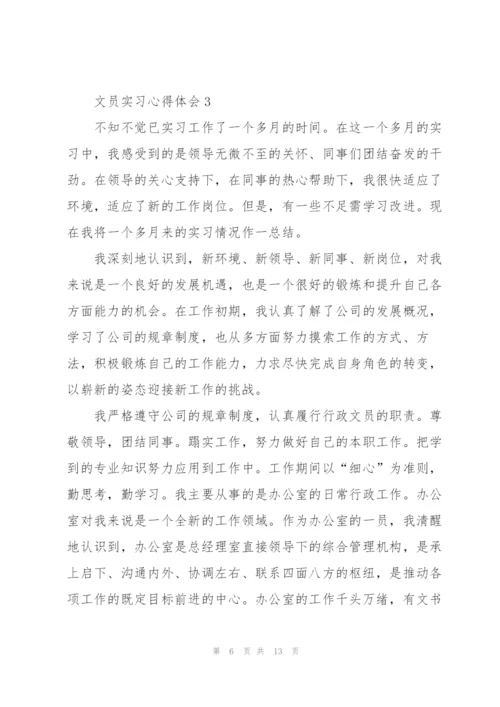 文员实习心得体会5篇.docx