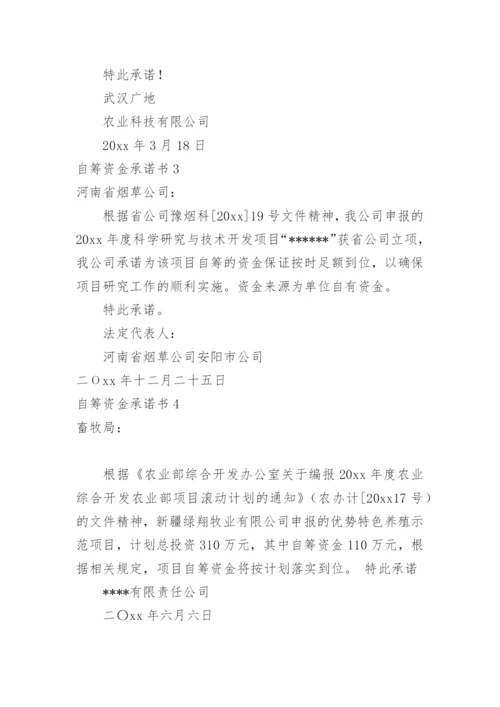 自筹资金承诺书.docx