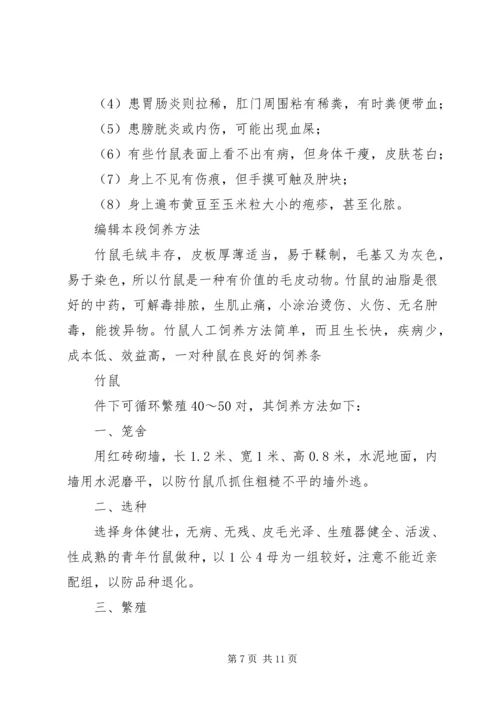 竹鼠养殖计划书 (2).docx