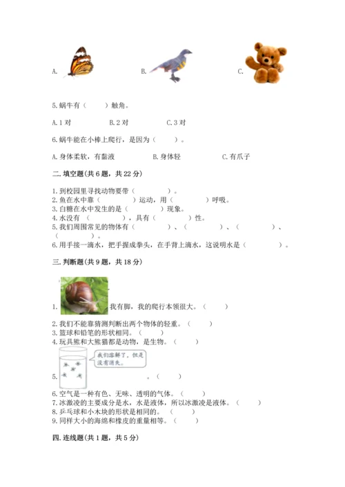 教科版一年级下册科学期末测试卷附答案【考试直接用】.docx