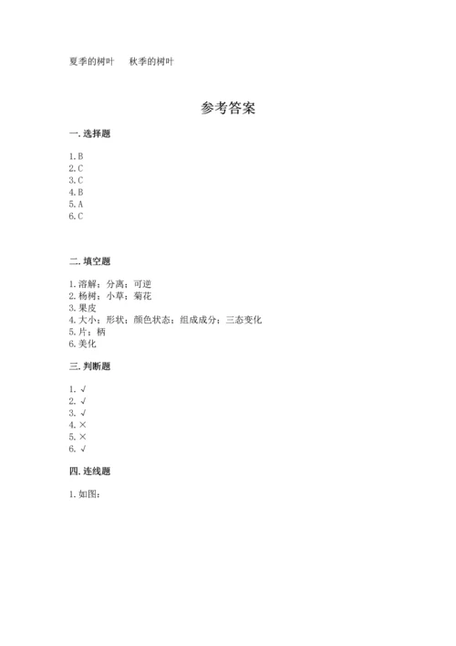 教科版科学一年级上册第一单元《植物》测试卷1套.docx