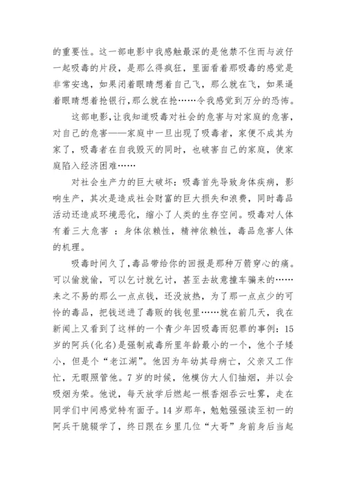 关于禁毒观后感优秀8篇.docx