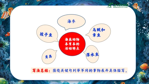 18.富饶的西沙群岛  课件