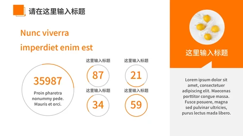 橙色夏季风优雅商务工作汇报通用PPT模板