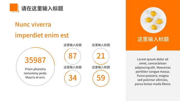 橙色夏季风优雅商务工作汇报通用PPT模板
