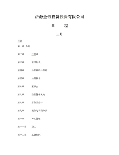 投资公司综合章程.docx