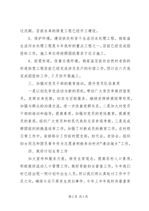 村政府上半年工作总结和下半年工作计划 (4).docx