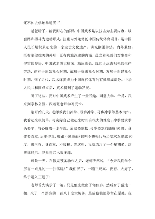 范文习武心得总结6篇.docx