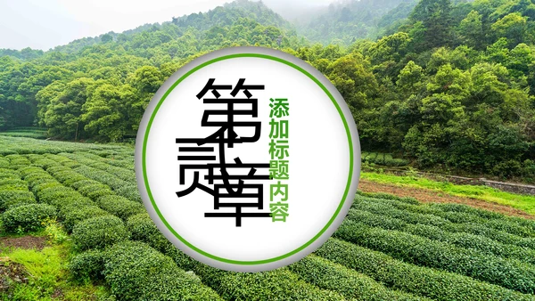绿色清新茶园茶艺茶道文化动态PPT模板