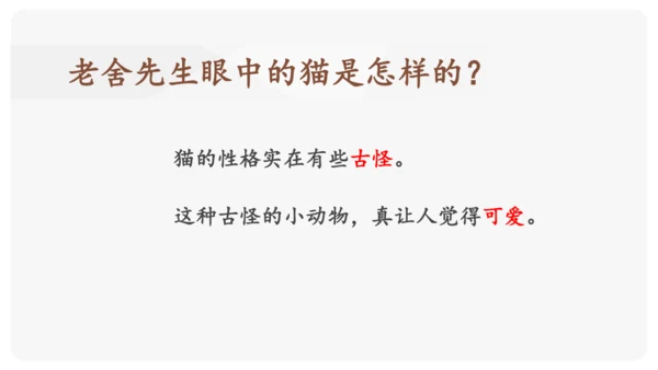 《猫》课件