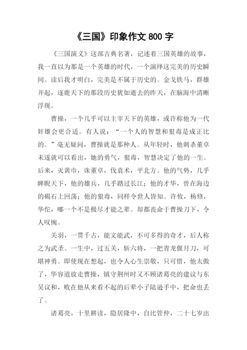 《三国》印象作文800字.docx