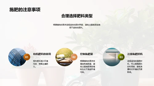 植物养护：小白到专家之路