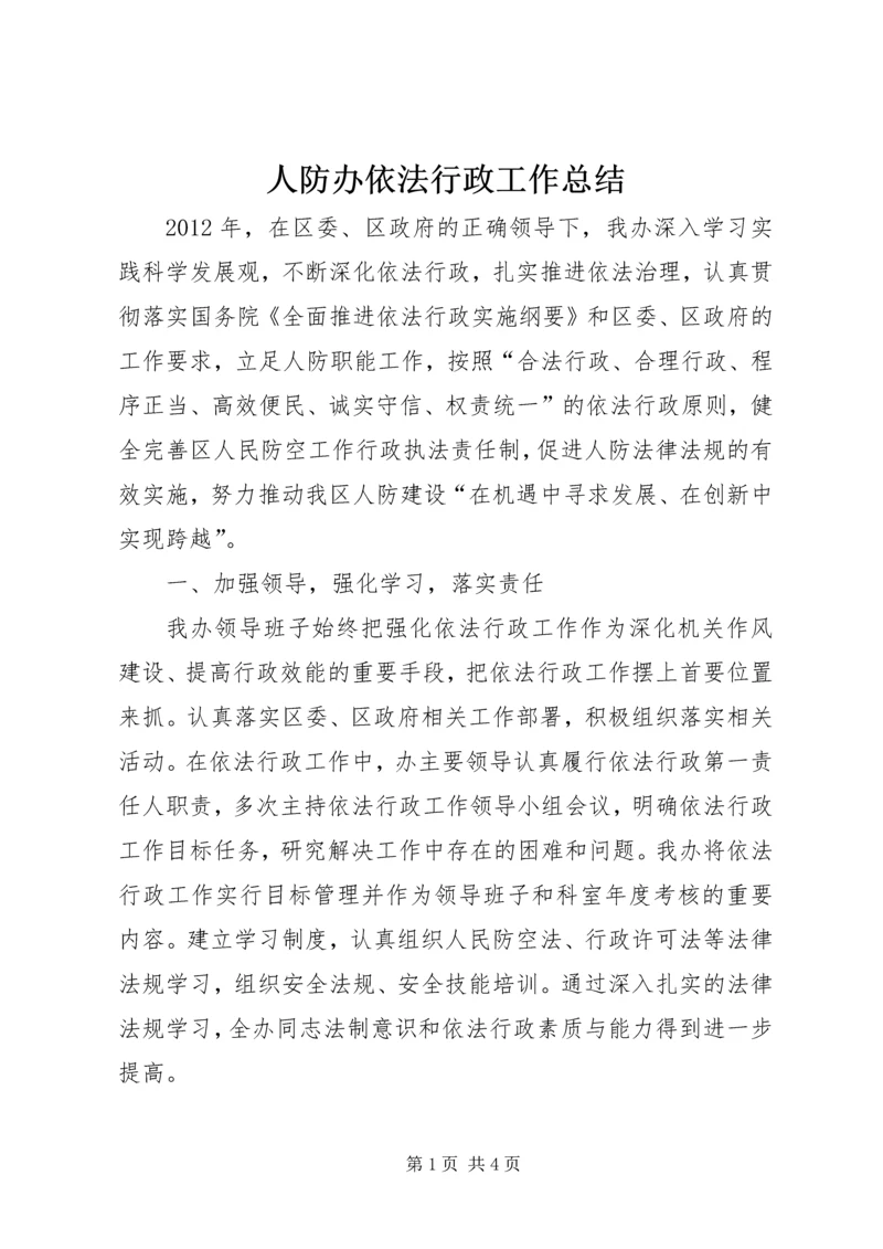 人防办依法行政工作总结.docx