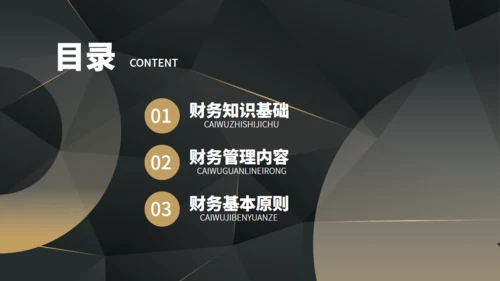 圆圈几何风财务知识培训通用PPT模板