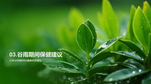 谷雨时节，保健之道